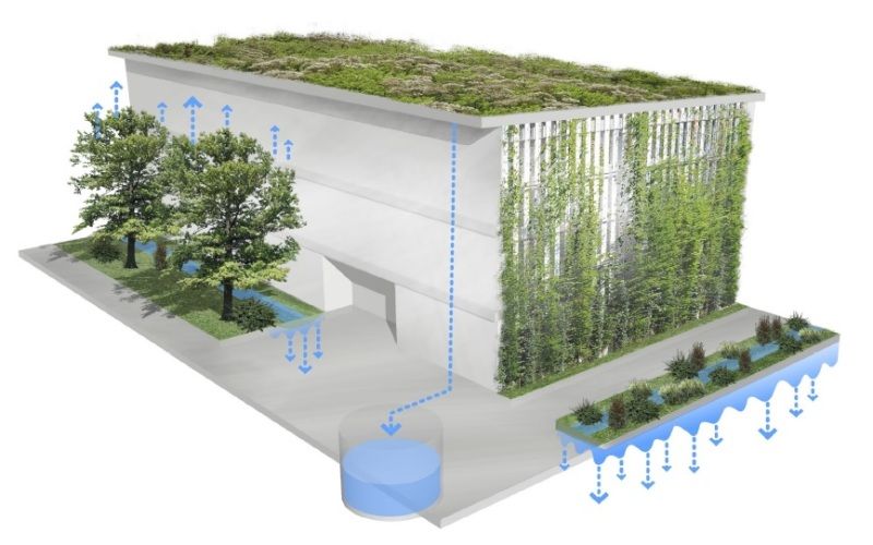 Regenwasserbewirtschaftung