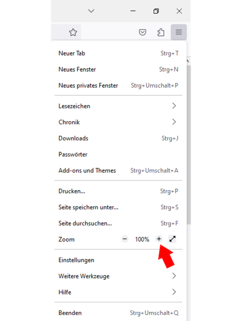 Die Zoom-Funktion des Internet-Browsers.