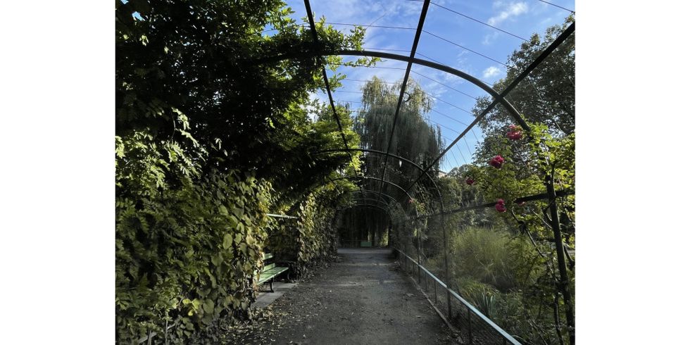 Pergola Lietsenseepark