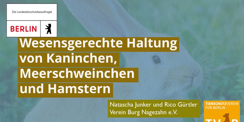 Plakat mit der Aufschrift Wesensgerechte Haltung von Kaninchen, Meerschweinchen und Hamstern, Logo Berlin und Logo des Tierschutzvereins Berlin