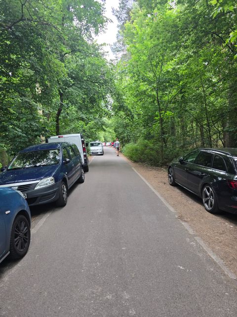 Parksituation an einem Waldweg vor einer Badestelle in Treptow-Köpenick