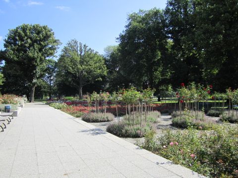 Rosengarten im Treptower Park - Pergola