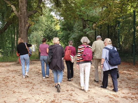 Aktionstage Spazierengehen – Ge(h)meinsam unterwegs im Herbst