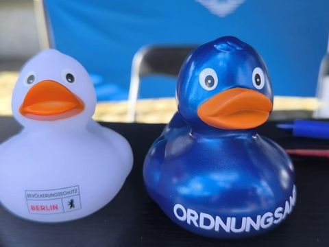 Ente gut, alles gut - diese kleinen Spaßvögel waren schnell vergriffen