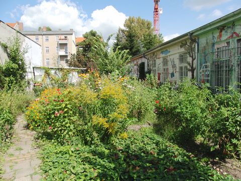 MAXIM Kinder- und Jugendkulturzentrum - Garten