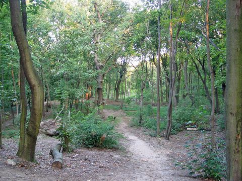 Naturerleben (Bild: Luftbild & Vegetation)