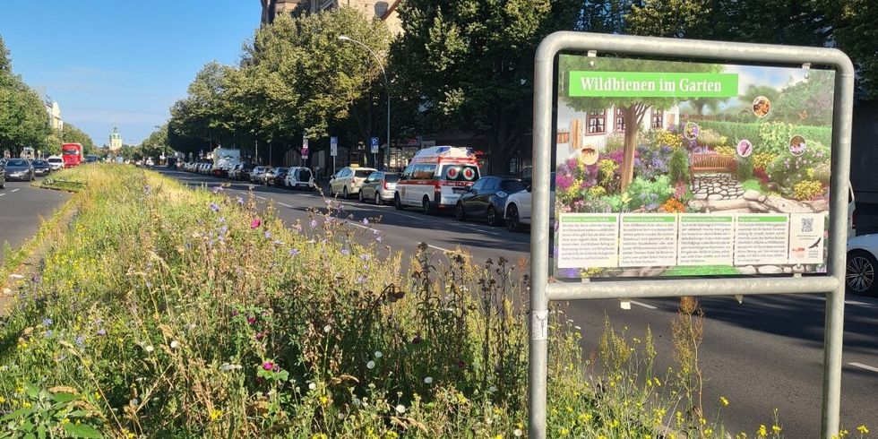 Mähfreier Mai Begrünter Mittelstreifern vor dem Rathaus Charlottenburg