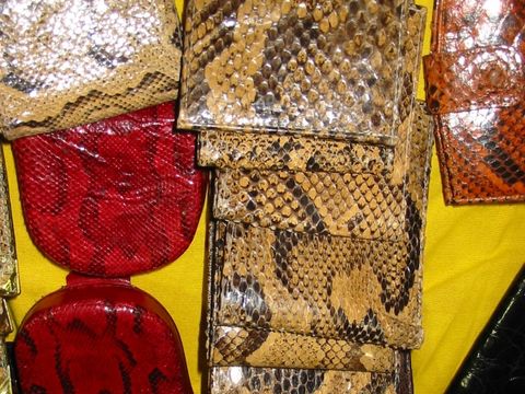 Geldbörsen aus Schlangenleder (Python)