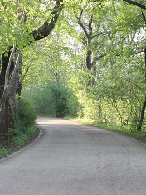 Plänterwald