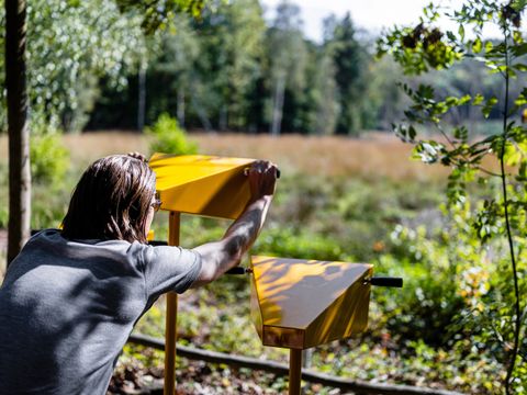 Lehrpfad Müggelberge und Teufelssee