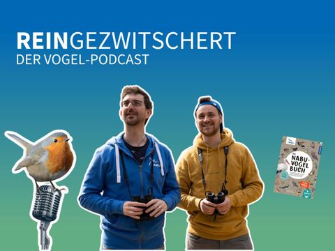 Titelbild für einen Podcast mit Titel, Foto von einem Rotkehlchen, zwei Männernund einem Buchcover