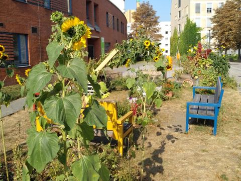 Stadtnatur auf kleinster FLäche in der Nachbarschaft rund um den Anhalter Banhnhof