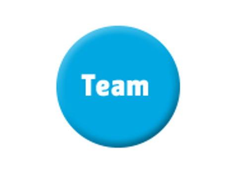 Icon Team