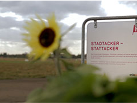 Stadtacker auf dem Tempelhofer Feld