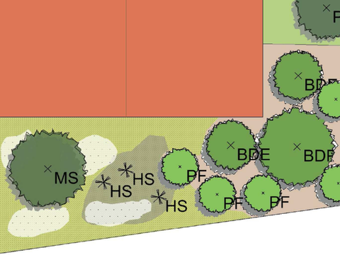 Grundriss Entwurfsplanung Pflanzbeet