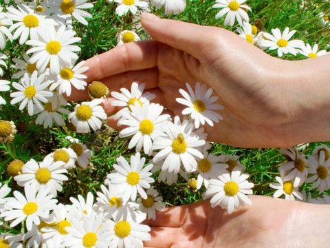 Blumen in Händen