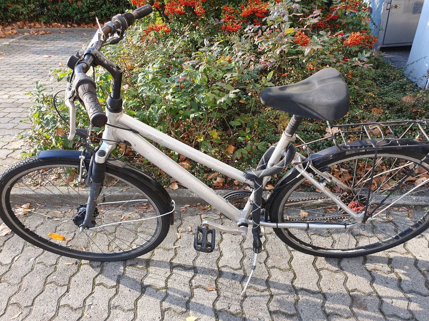 Silbernes Herrenfahrrad