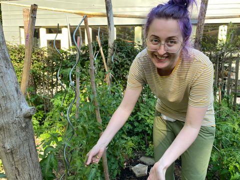 Frau beugt sich runter zu einer Tomatenpflanze und hält sie in der Hand