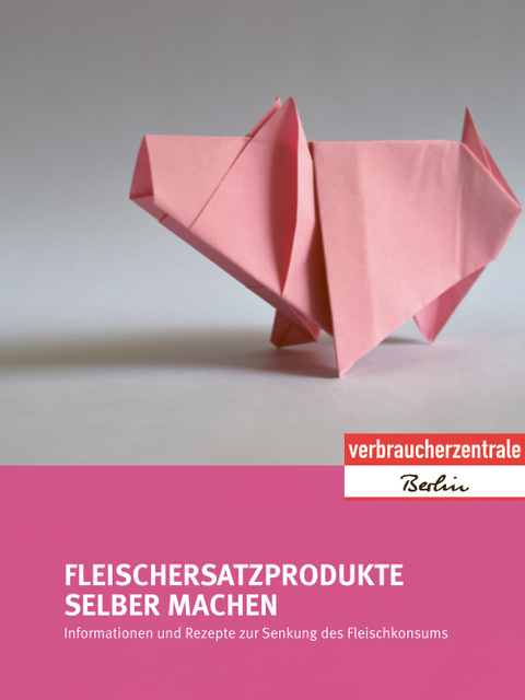 Flyer Ersatzprodukte