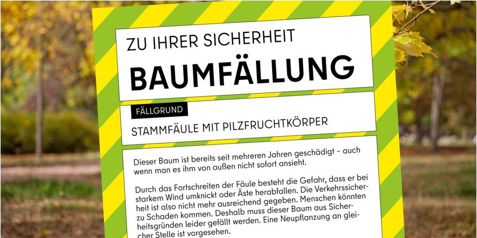 Baumfällungen