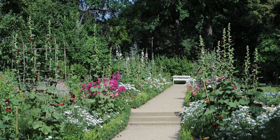 Ein besonderer Blick in den Garten Liebermann