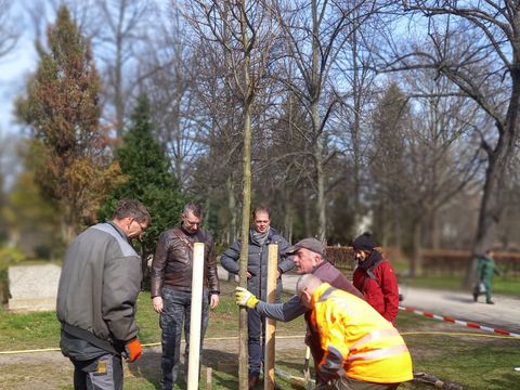 Klimaschutzprojekt auf Friedhöfen