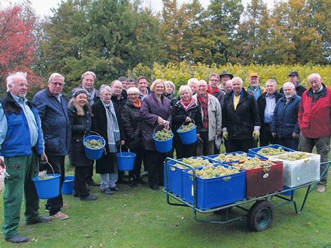 Gruppenbild Weinlese 2015