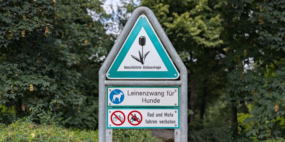 Tulpenschild