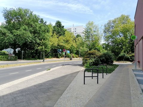 Promenade mit Grün und Fahrradbügeln