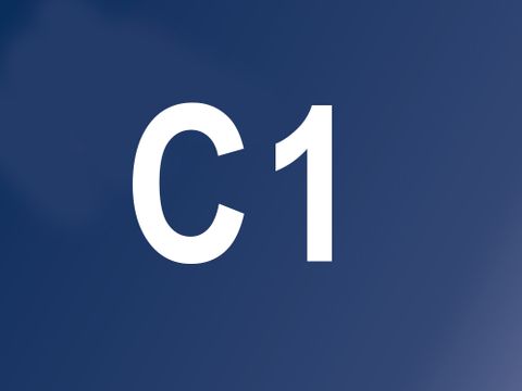 C1 Sprachen Niveaus