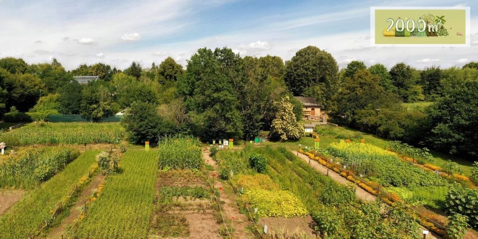 Der Weltacker im Botanischen Volkspark Blankenfelde-Pankow