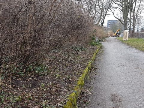 Spreeradweg Seitenbereich