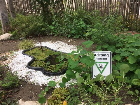 Eine kleine, grüne Lunge: der neue Teich der Grundschule (Bild: Grundschule am Stadtpark Steglitz)