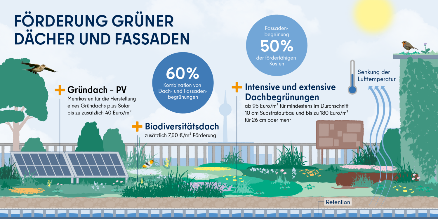 Infografik über Fördermöglichkeiten für Dach- und Fassadenbegrünungen, Gründach – PV und Biodiversitätsdächer.