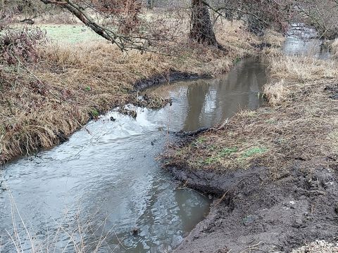 Nach dem Umbau: Pankeabschnitt mit variablen Uferböschungen und Strukturelementen in der Gewässersohle (Bild: SenMVKU)