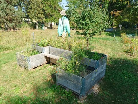 Natur pur in der Gartenarbeitsschule Reinickendorf (Bild: BA Rdf)