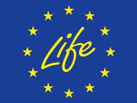 Logo Life