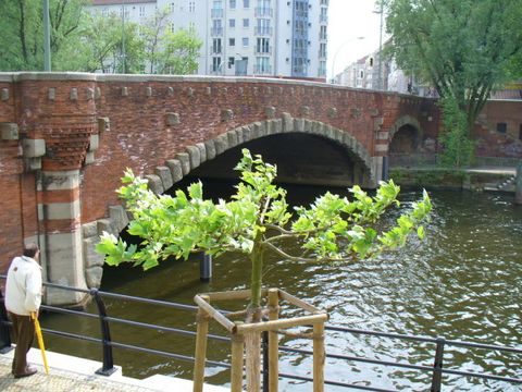 Dovebrücke, Foto: KHMM