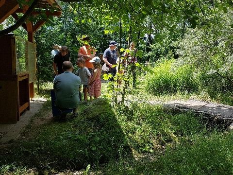 Der Bienenlehrgarten des Imkwervereins 'Wuhletal 1864' - Grüne Insel im Bezirk