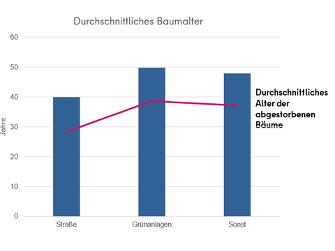 (Bild: Straßen- und Grünflächenamt)