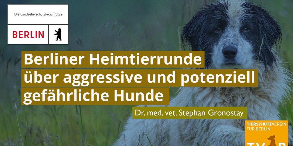 Ankündigung Berliner Heimtierrunde über aggressive und potenziell gefährliche Hunde, Dr. med. vet. Stephan Gronostay und Logos LtB und Tierschutzverein Berlin