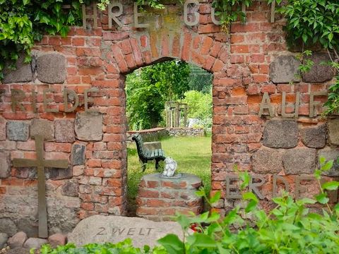 Blick durch eine Wand der Kirchenruine Malchow mit Efeu im Vordergrund und Bank im Hintergrund