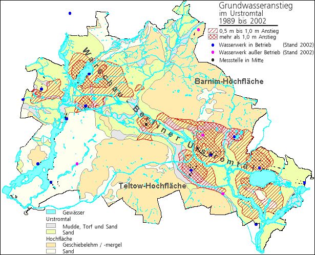 Abb. 10: Grundwasseranstieg im Urstromtal von 1989 bis 2002
