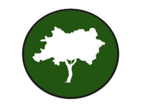 Logo des Paulsen-Gymnasium