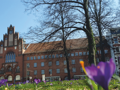 Frühblüher vor dem Rathaus Köpenick