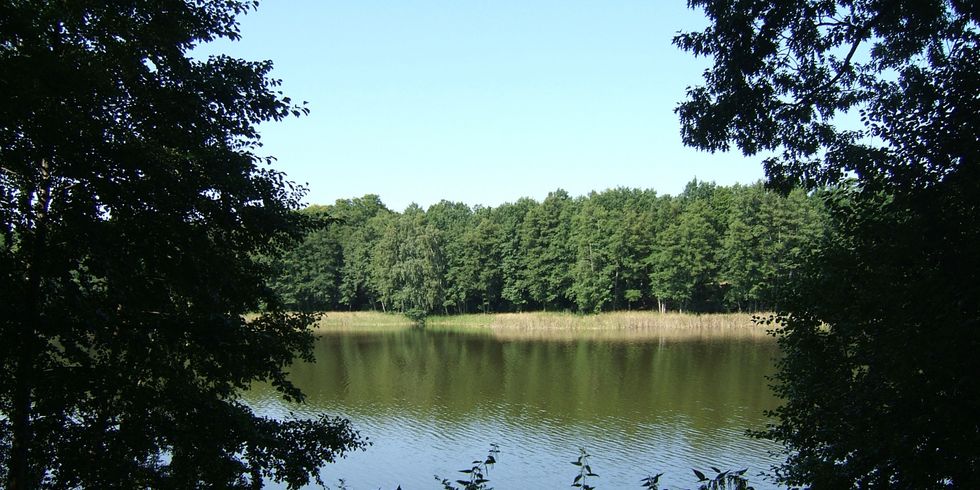 Grunewaldsee