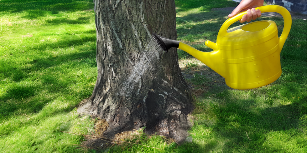 Kein Titel (4761 x 2380 px) - 1