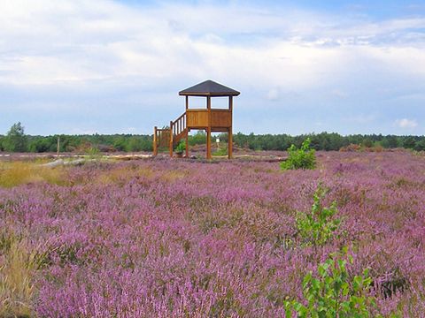 Aussichtsturm Heide