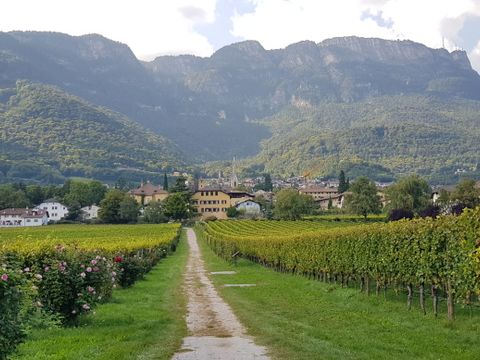 Kaltern in Südtirol (Bild: Bow)