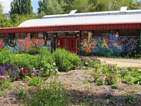 Ellen-Key-Schule: Bienenbeete